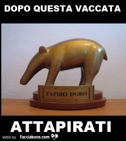 Vaccata