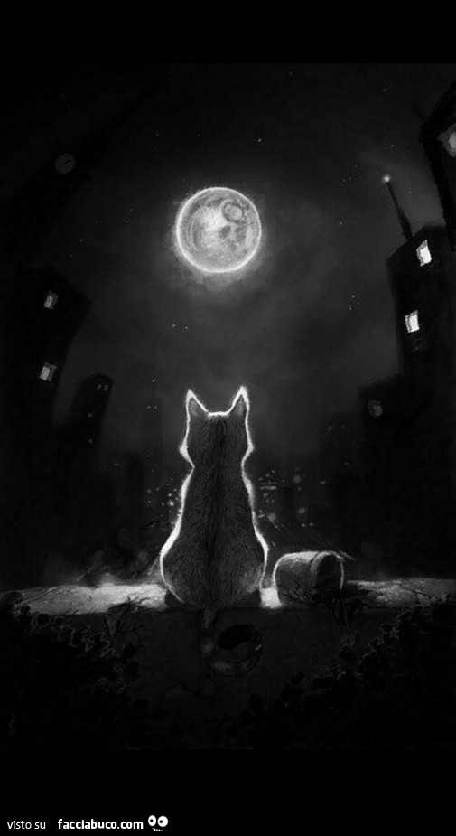 Gatto che guarda la luna