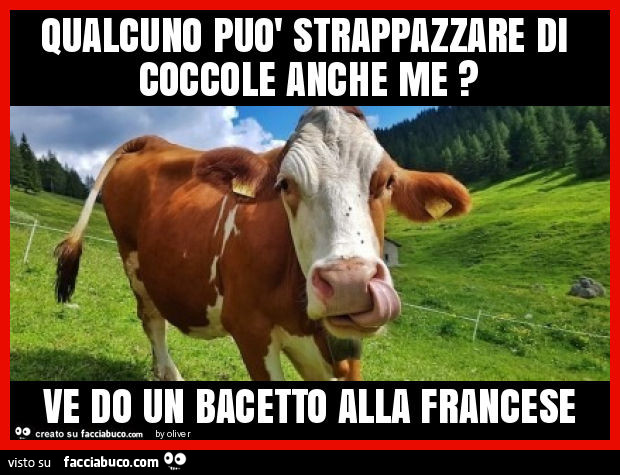 Vaccata