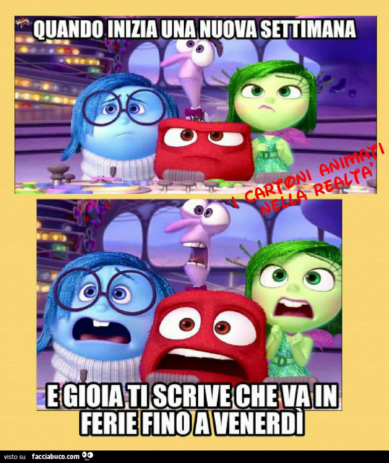 Vaccata