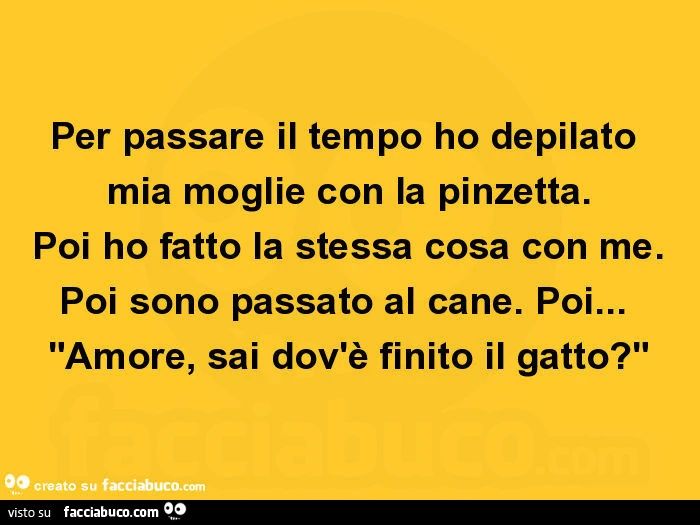 Per passare il tempo ho depilato mia moglie con la pinzetta. Poi ho fatto la stessa cosa con me. Poi sono passato al cane. Poi&hellip; amore, sai dov'è finito il gatto?