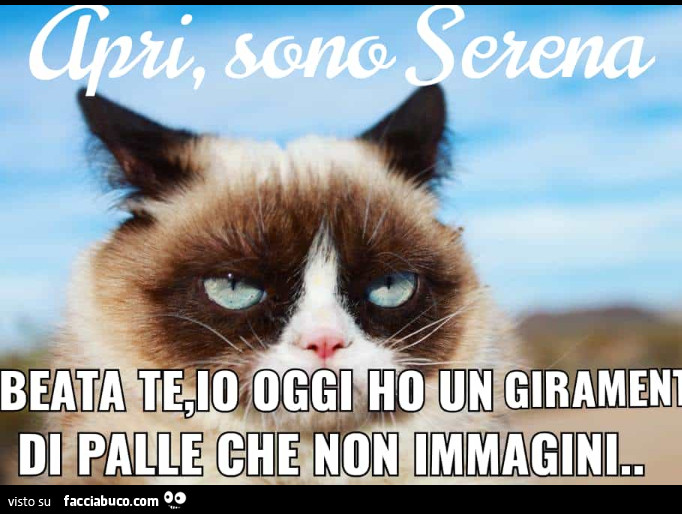 Apri sono serena