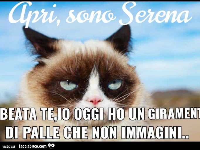 Apri sono serena