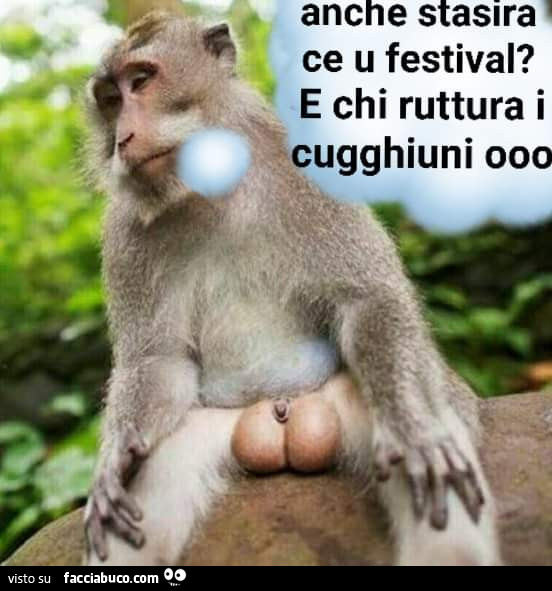 Anche stasira ce u festival? E chi ruttura i cugghiuni