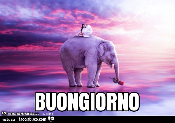 Buongiorno