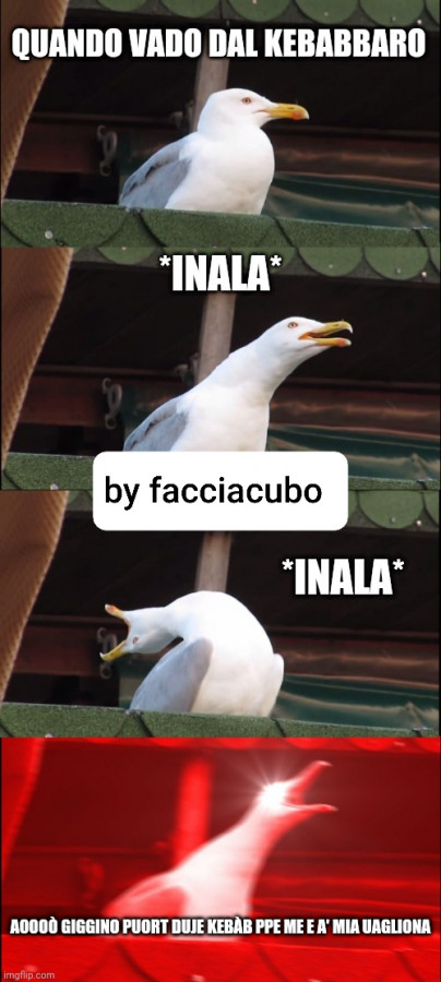 Vaccata