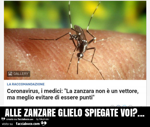 Alle zanzare glielo spiegate voi?