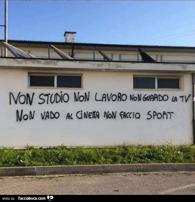 Non studio non lavoro non guardo la tv non vado al cinema non faccio sport