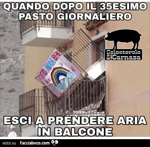 Quando dopo il 35 esimo pasto giornaliero esci a prendere aria in balcone