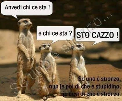 Saggezza