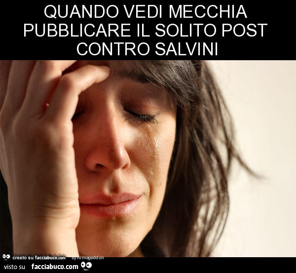 Quando vedi mecchia pubblicare il solito post contro salvini