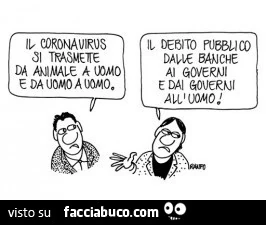 Il coronavirus si trasmette da animale a uomo e da uomo a uomo