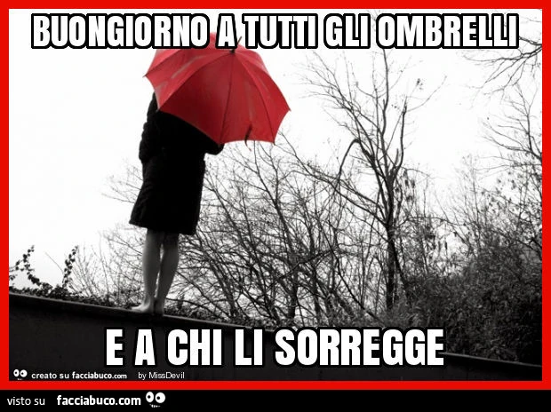 Buongiorno a tutti gli ombrelli e a chi li sorregge