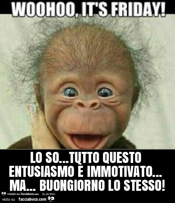 Lo so… tutto questo entusiasmo è immotivato… ma… buongiorno lo stesso