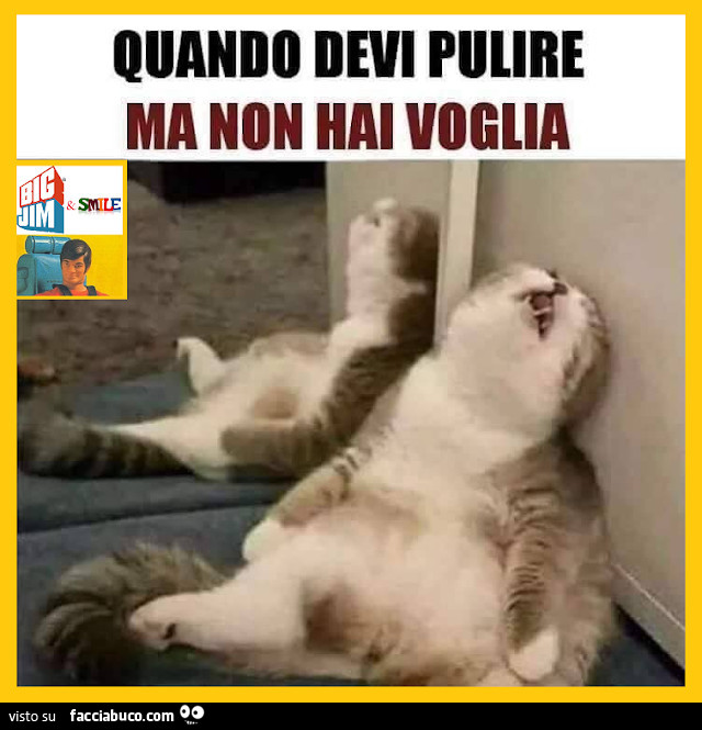 Quando devi pulire m Fabio non ti aiita