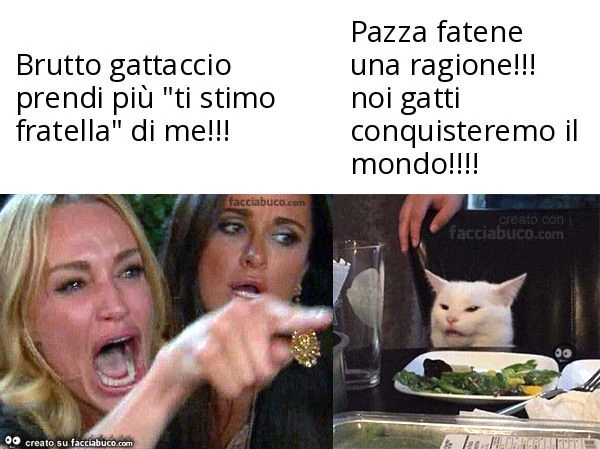 Brutto gattaccio prendi più "ti stimo fratella" di me! . Pazza fatene una ragione! Noi gatti conquisteremo il mondo