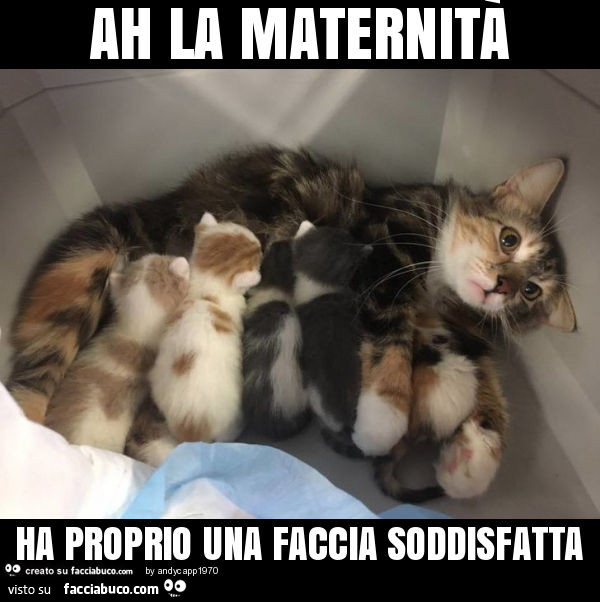 Ah la maternità ha proprio una faccia soddisfatta