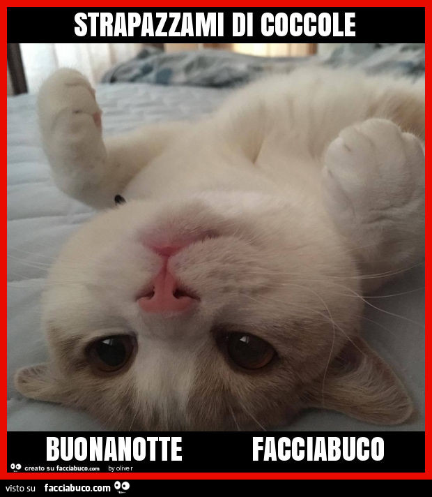 Strapazzami di coccole buonanotte facciabuco