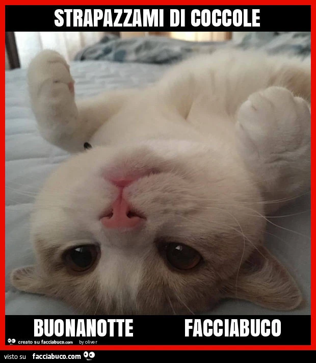 Strapazzami di coccole buonanotte facciabuco