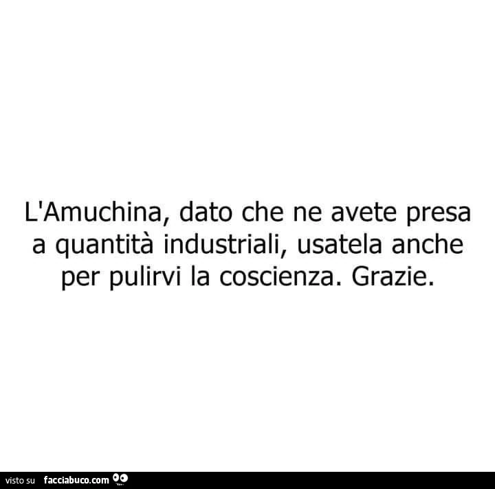 L'amuchina, dato che ne avete presa a quantità industriali, usatela anche per pulirvi la coscienza. Grazie