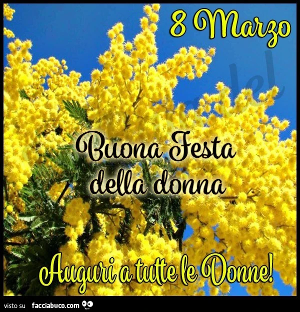 8 Marzo buona festa della donna. Auguri a tutte le donne