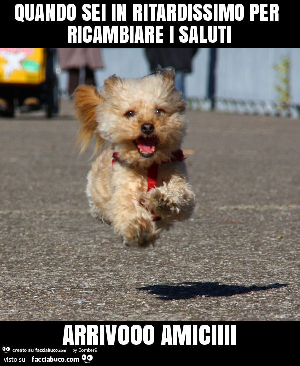 Quando sei in ritardissimo per ricambiare i saluti arrivooo amiciiii