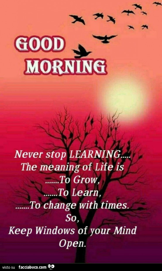 Good morning. Never stop learning