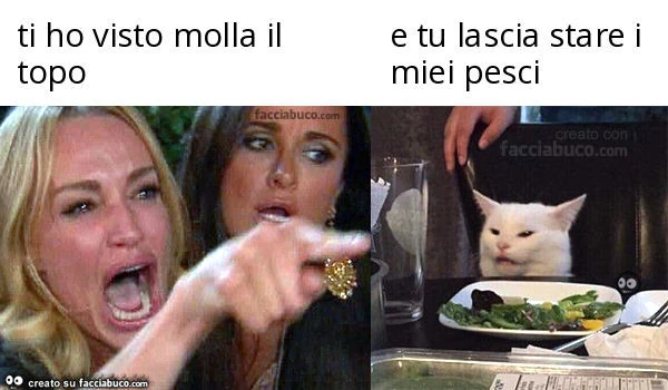 Ti ho visto molla il topo. E tu lascia stare i miei pesci