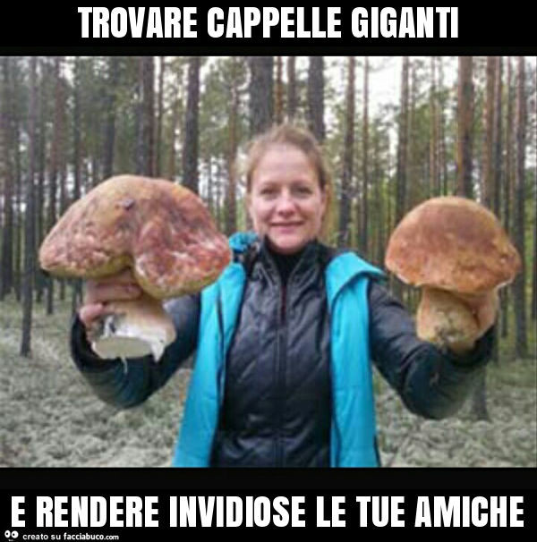 Trovare cappelle giganti e rendere invidiose le tue amiche
