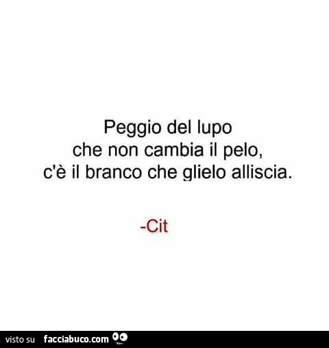 Peggio del lupo che non cambia il pelo, c'è il branco che glielo alliscia