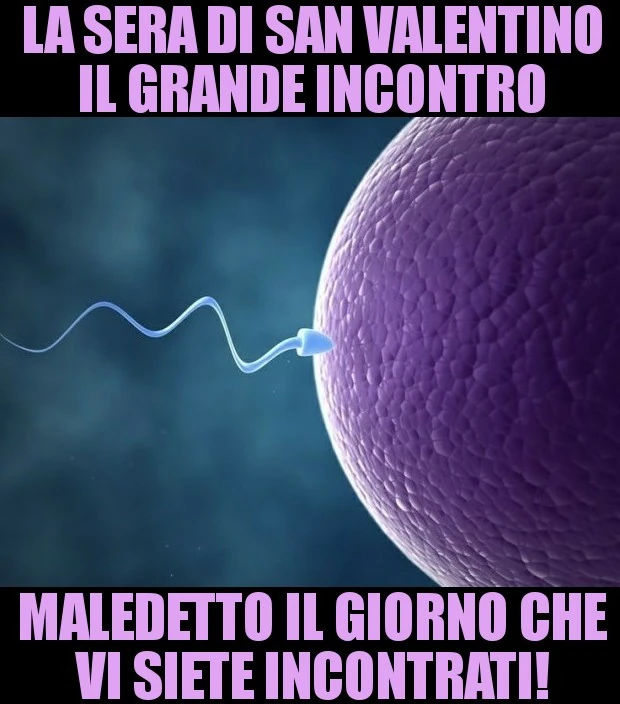 Spermatozoo ovulo