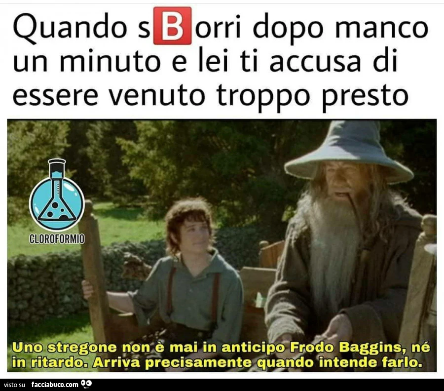 Vaccata