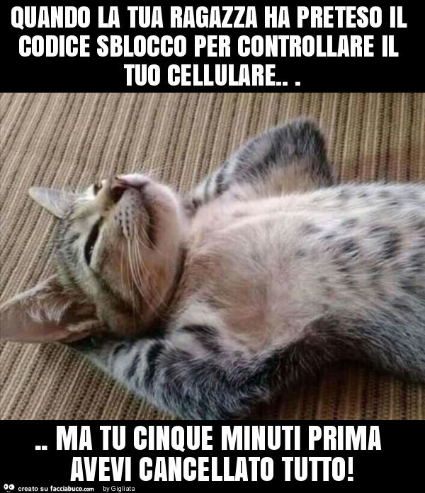 Quando la tua ragazza ha preteso il codice sblocco per controllare il tuo cellulare… ma tu cinque minuti prima avevi cancellato tutto