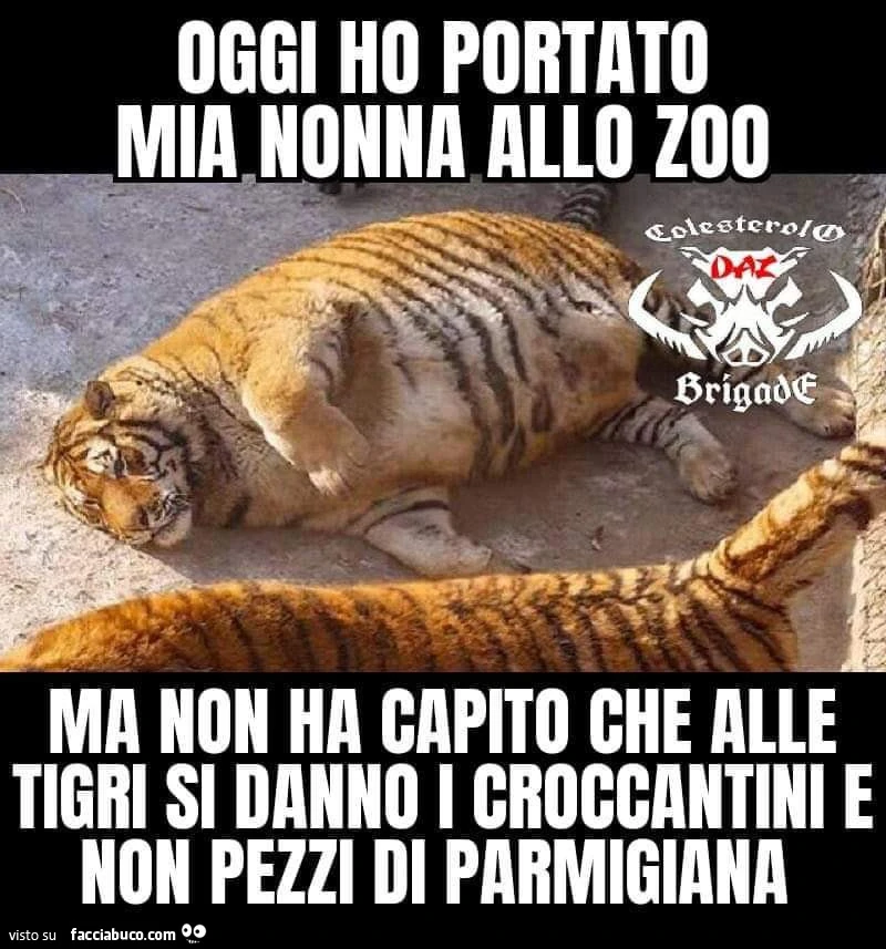 Vaccata