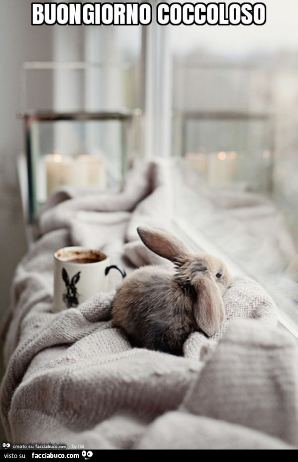Buongiorno coccoloso