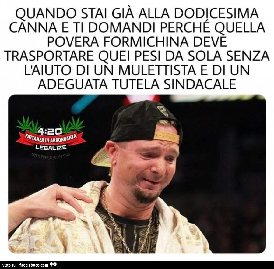 Vaccata