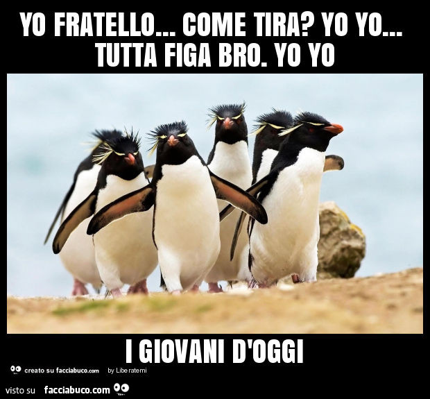 Yo fratello… come tira? Yo yo… tutta figa bro. Yo yo i giovani d'oggi