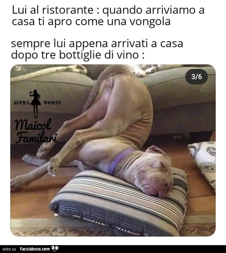 Vaccata