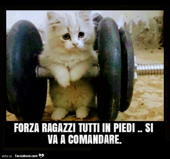 Forza ragazzi a comandare