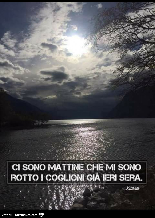 Ci sono mattine che mi sono rotto i coglioni già ieri sera