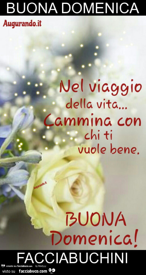 Buona domenica facciabuchini
