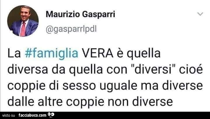 Maurizio gasparri la famiglia vera è quella diversa da quella con diversi cioé coppie di sesso uguale ma diverse dalle altre coppie non diverse