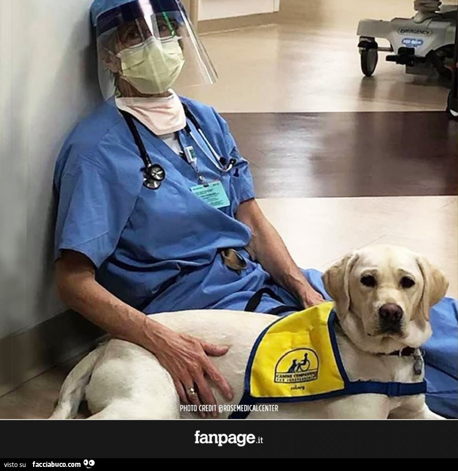 "Vedere e sentire cose che non puoi non vedere e sentire in questa situazione ha un influente impatto sulla tua persona. Ed ecco che entrano in gioco i cani. Quando accarezzi un cane, ti riconnetti subito con te stesso e prendi coscienza del momento