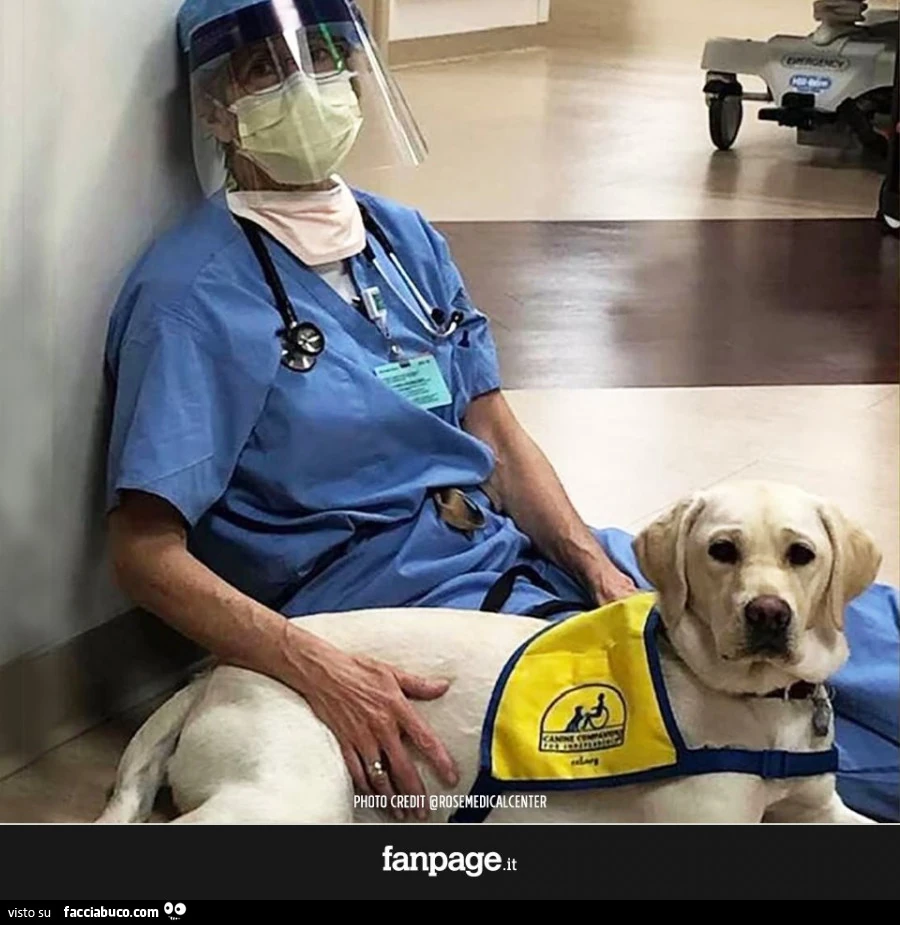 "Vedere e sentire cose che non puoi non vedere e sentire in questa situazione ha un influente impatto sulla tua persona. Ed ecco che entrano in gioco i cani. Quando accarezzi un cane, ti riconnetti subito con te stesso e prendi coscienza del momento 