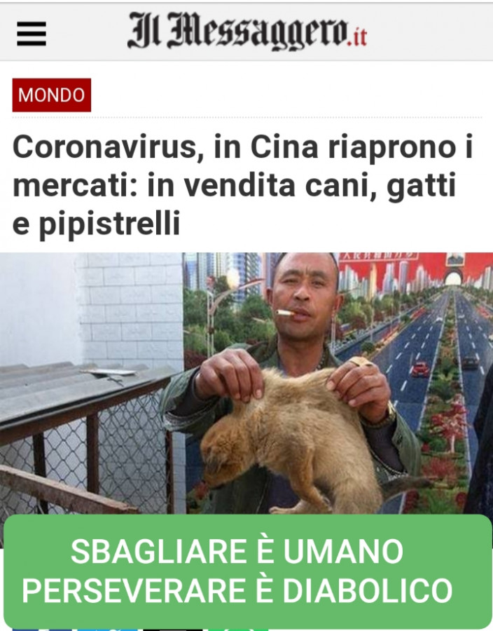 Vaccata