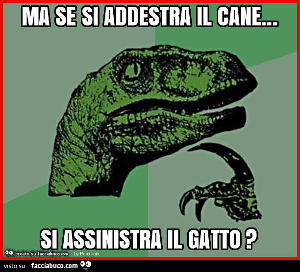 Ma se si addestra il cane… si assinistra il gatto?