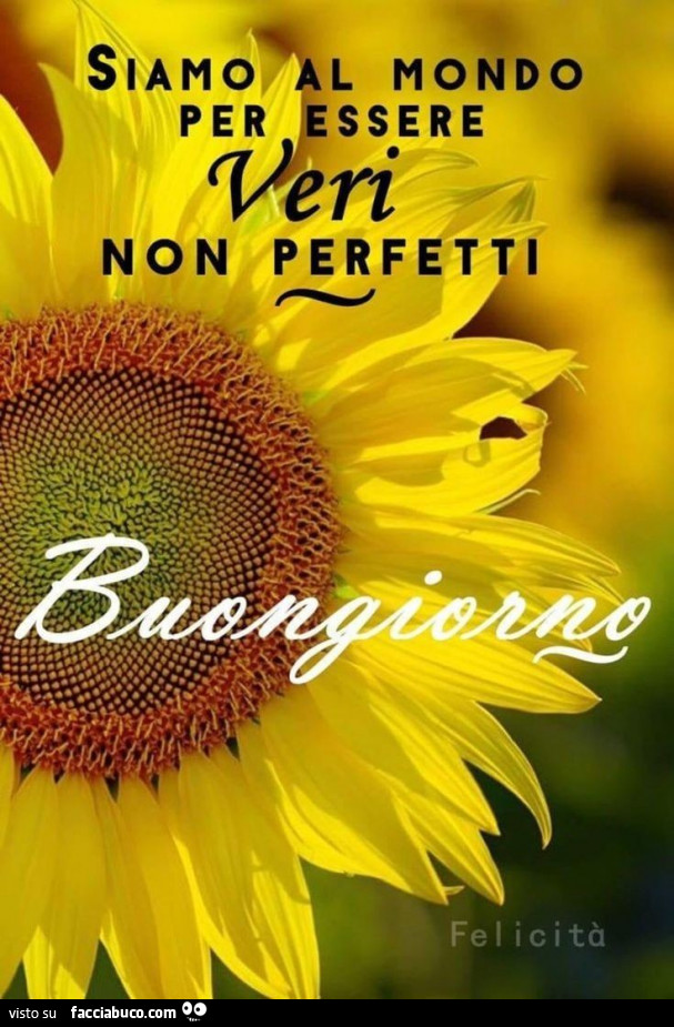 Siamo al mondo per essere veri non perfetti