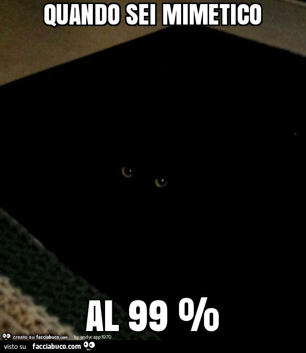 Quando sei mimetico al 99