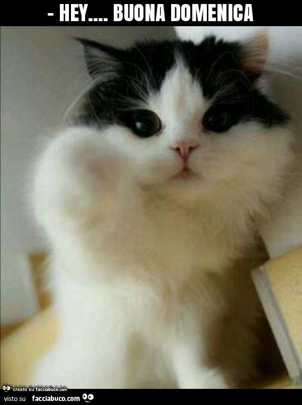Hey… buona domenica
