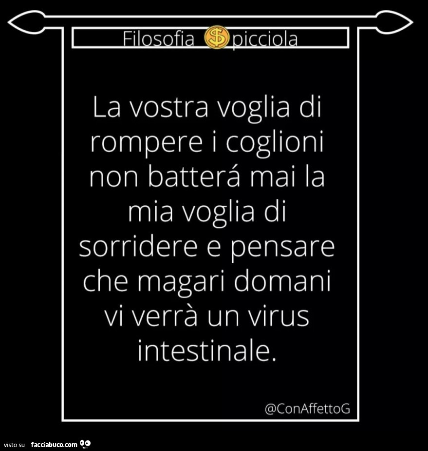 La vostra voglia di rompere i coglioni non batterà mai la mia voglia di sorridere e pensare che magari domani vi verrà un virus intestinale